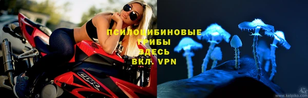 бутик Новозыбков