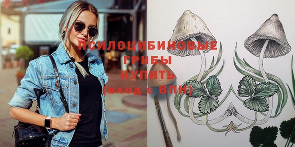 стафф Новодвинск