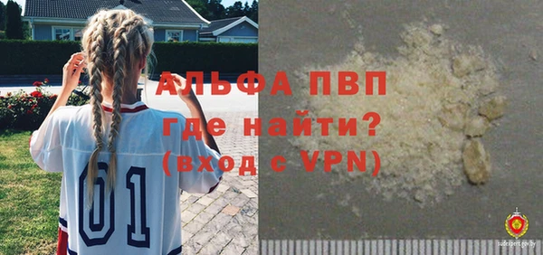 стафф Новодвинск