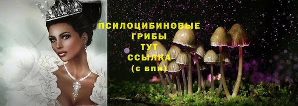 бутик Новозыбков