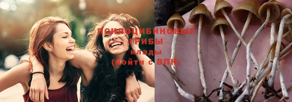 бутик Новозыбков